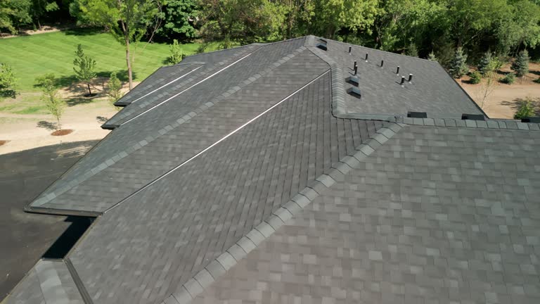 Best Roof Moss and Algae Removal  in Duluth, MN