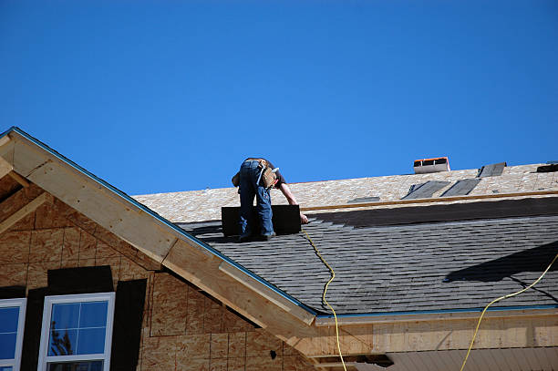 Best Chimney Flashing Repair  in Duluth, MN